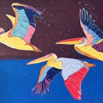 Pelicans