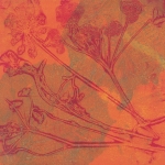 Monoprint met botanicals
