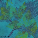 Monoprints met botanicals