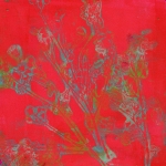 Monoprints met botanicals
