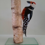 Karin Kuik - Bonte specht