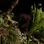 Natuur