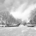 Zwart wit