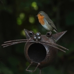 roodborst