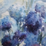 zomerblues