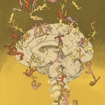 Anatomie van verbinding