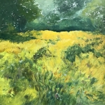 Landschap met gele bloemen 