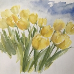 Gele tulpen 