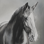 Portret paard