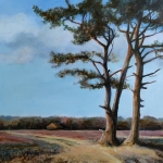 Namiddag op de heide