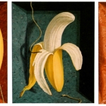 Het korte leven van een banaan