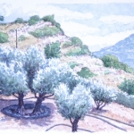 Olijven op Kreta
