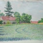 Graanveld met boerderij
