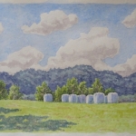 witte hooibalen