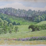 Bomen