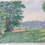 Boerderij