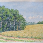 Korenveld