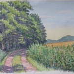 Karrespoor