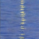 light reflection at the harbour of Triest