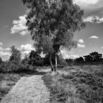 Houtdorperveld 02