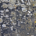 Korstmos grafsteen