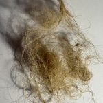 The rope