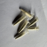The bead