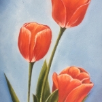 tulpen