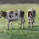 06 2023 Acryl