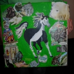 Foto's WS Strip doek