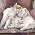 Wasbeurt (Vossie en Nina)