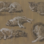 Studies van mijn katten