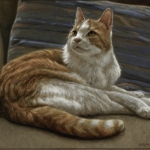 Vossie omhoogkijkend