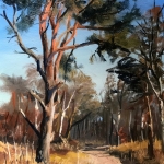 heidelandschap Rucphense Heide