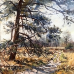 vierkante boom op Rucphense heide