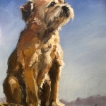Border Terrier Jack