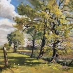 mooie eiken langs de Nederheide