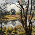 ven bij Buisse Heide