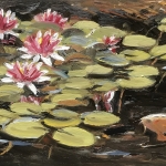 Waterlelies kogelvanger bij regen