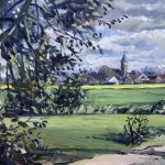 Koolzaad op voorgrond bij zicht op Rucphen