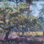 een kastanjeboom op de heide nabij het Rozenven