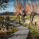 knotwilgen aan het Molenbeekpad