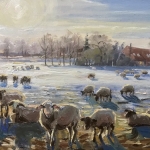 schapen in de sneeuw