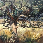 herfstboom in Meinweg