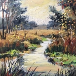 Ven in 80 bunder voorbij Schijf