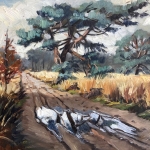 plassen op de Rucphense Heide