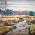 nog meer plassen op de Rucphense Heide