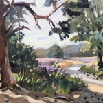 heide nabij Roosendaal