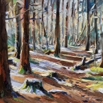 015 door de bomen het bos niet meer zien