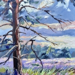 heidelandschap binnen een uur